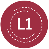 Level 1 projects logo