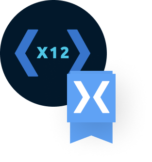 X12 Icon